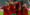 Le Maroc bat l’Argentine 2-1, au terme d’une fin de match confuse – Aujourd’hui le Maroc