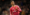 Manchester United enfonce Manchester City – Aujourd’hui le Maroc