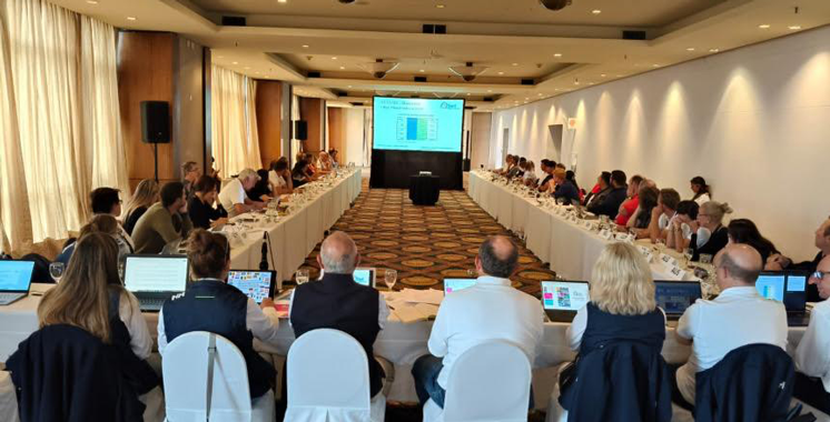 Tanger accueille le Championnat du monde de voile classe «Optimist» en 2026 – Aujourd’hui le Maroc Tanger accueille le Championnat du monde de voile classe «Optimist» en 2026 – Aujourd’hui le Maroc