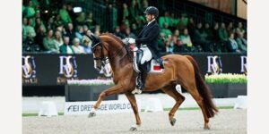 Yessin Rahmouni qualifié à la prochaine FEI World Cup Finals 2026 au Texas – Aujourd’hui le Maroc Yessin Rahmouni qualifié à la prochaine FEI World Cup Finals 2026 au Texas – Aujourd’hui le Maroc